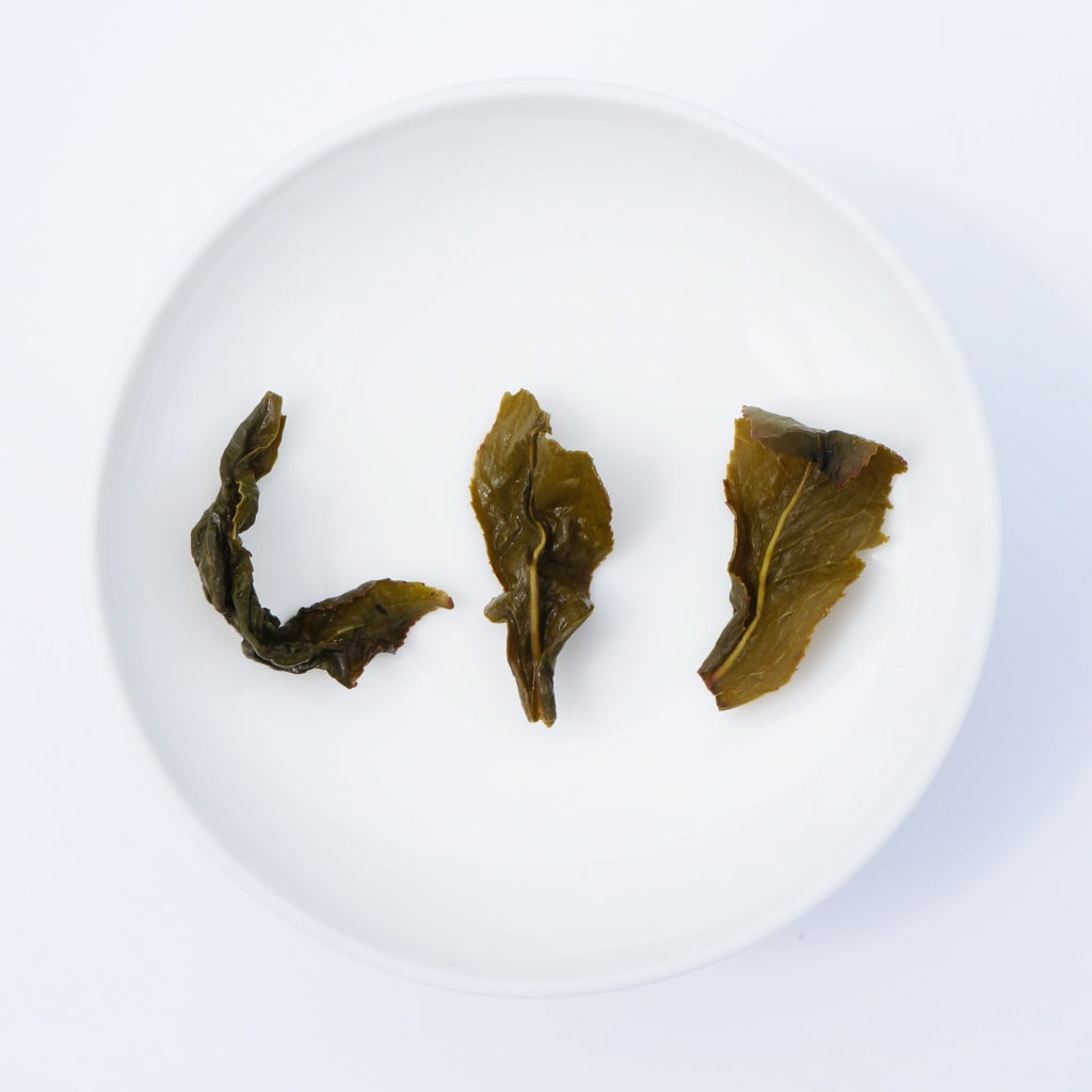 Medium Roast Spring (Ding Dong)