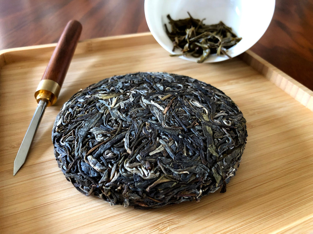 Jingmai Spring (April 2018)